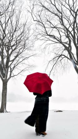 大雪纷飞的冬天撑起红伞为你遥醉芳尘唯美壁纸