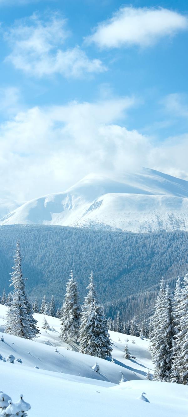 冬季大雪覆盖树林冰天雪地绝美雪景