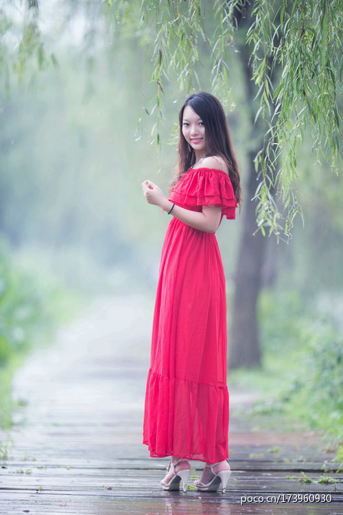 雨后杨柳岸的美丽风景