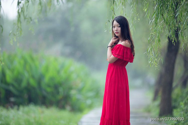 雨后杨柳岸的美丽风景